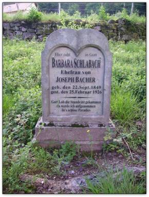 Cliquez pour agrandir l'image