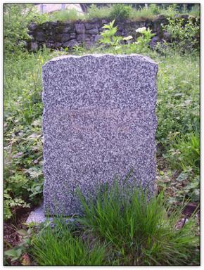 Cliquez pour agrandir l'image