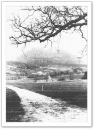 Cliquez pour agrandir l'image Cliquez pour agrandir l'image